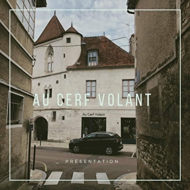 Le Cerf Volant 