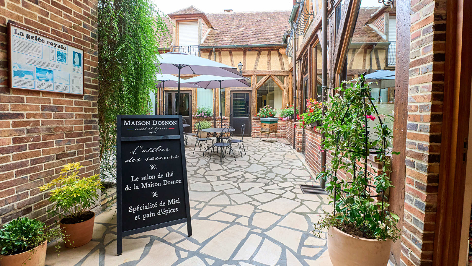 Maison Dosnon
