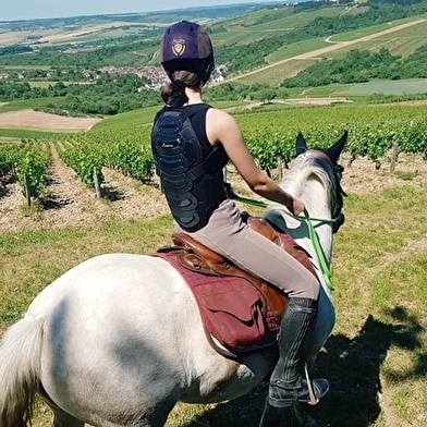 Ferme équestre de l'Equi'Libre 