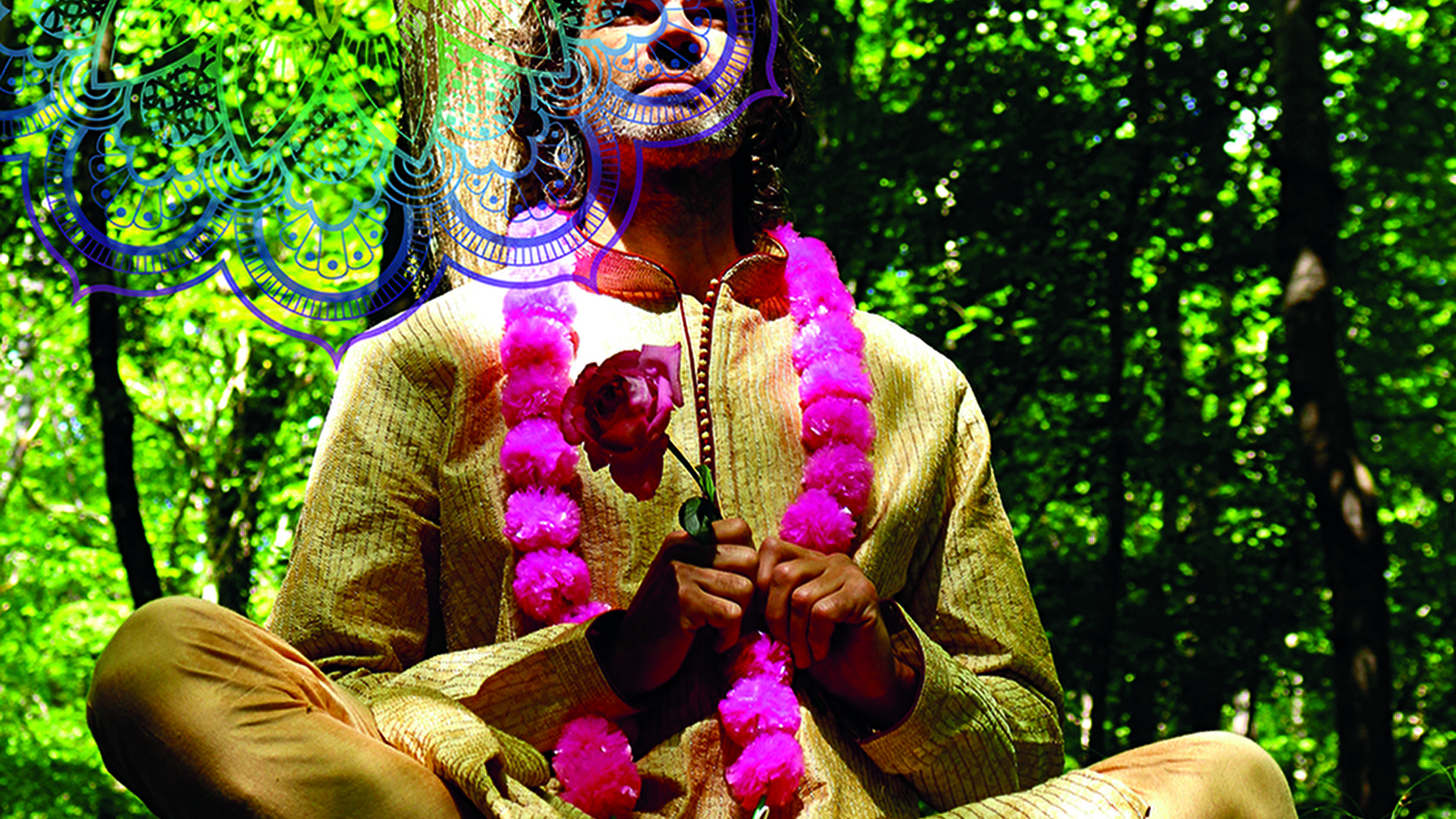 Sous les frondaisons, contes de sagesse indienne