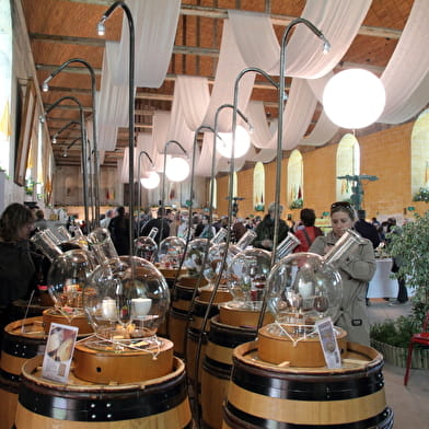 Vinées Tonnerroises - Salon des vins