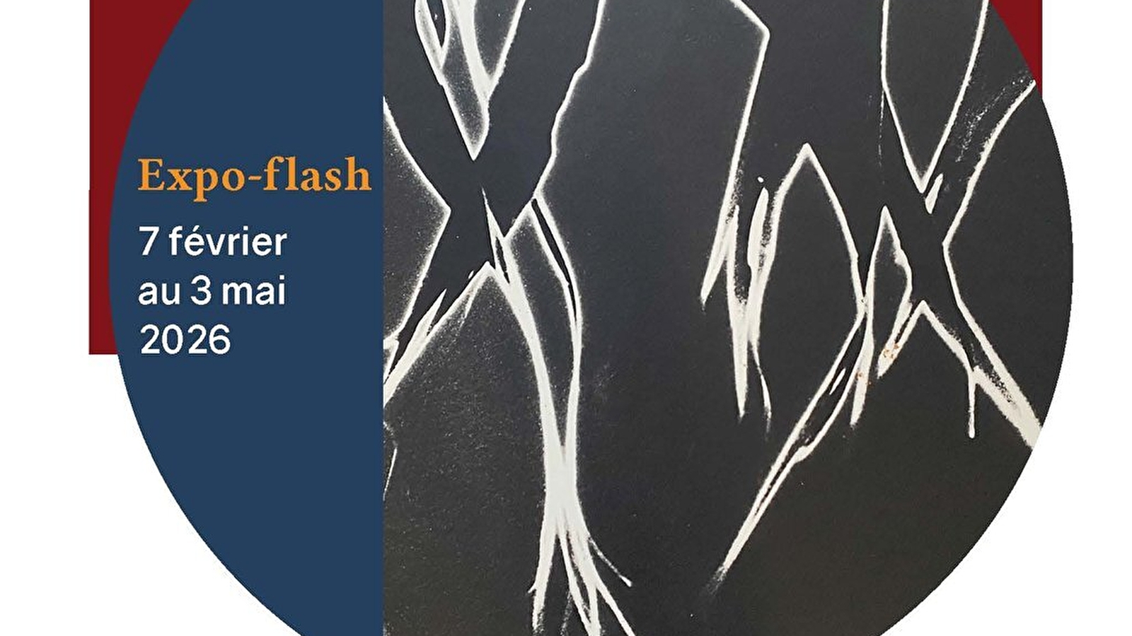 Exposition 'Dans l'oeil de Pierre Kill'