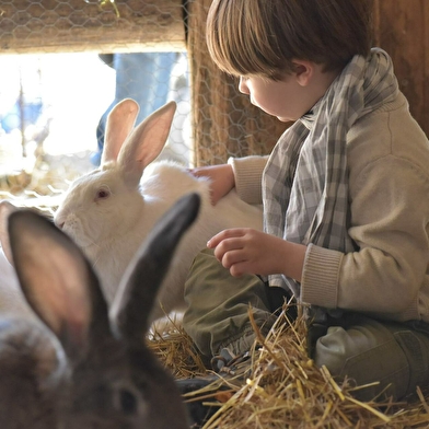 La Ferme de Flo - Ferme pédagogique animalière