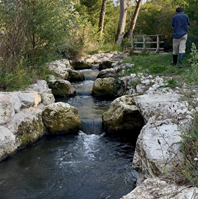 Un endroit idéal pour t'initier à la pêche à la truite, dans un cadre naturel préservé.