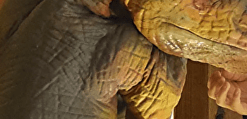 Unique en France, à ne pas manquer ! - CHAMOUX