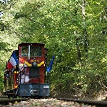 Un train spécial en toute saison ! - MASSANGIS