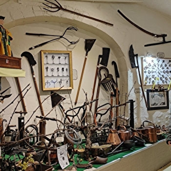 Une étonnante collection viticole - BEINE