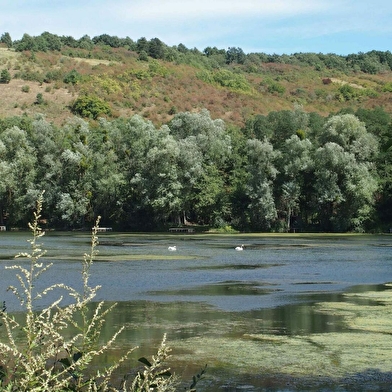 Parcours permanents d'orientation de l'Aire de loisirs des Etangs