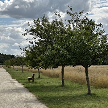 Parc Champêtre des Champs-Captants - SENS