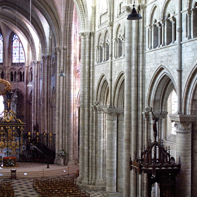 Visite guidée de la cathédrale Saint-Etienne, première cathédrale gothique