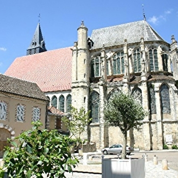 A la découverte de Villeneuve-sur-Yonne et Saint-Julien-du-Sault - VILLENEUVE-SUR-YONNE