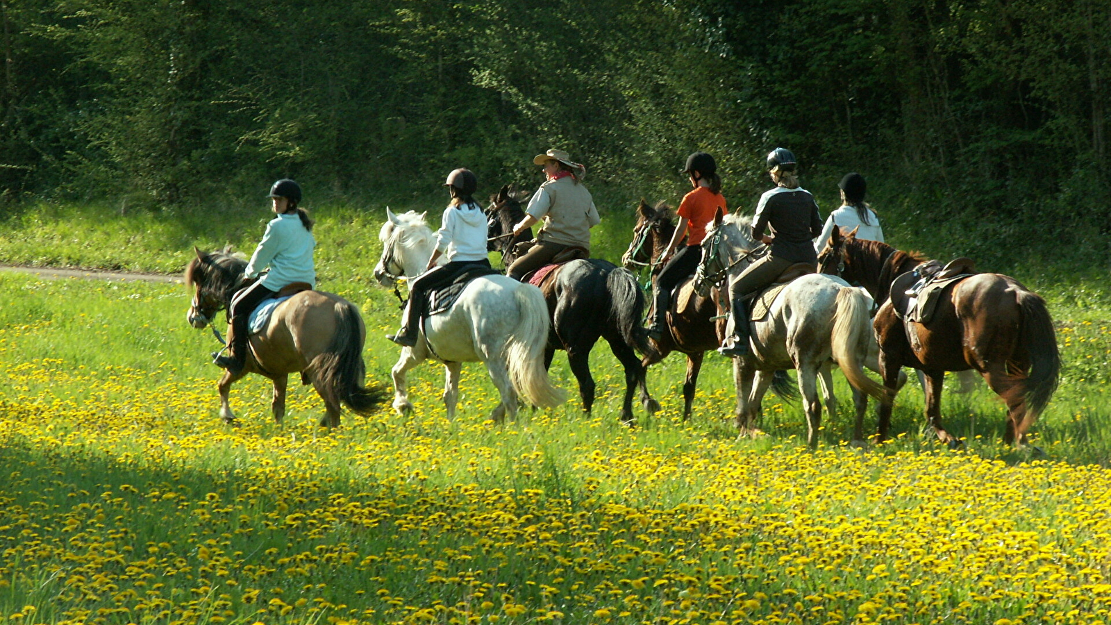 Ferme Équestre de Pesteau