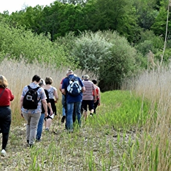 Le sentier du Marais d'Andryes - ANDRYES