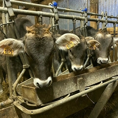 Ferme de l'Abbaye de la Pierre-qui-Vire