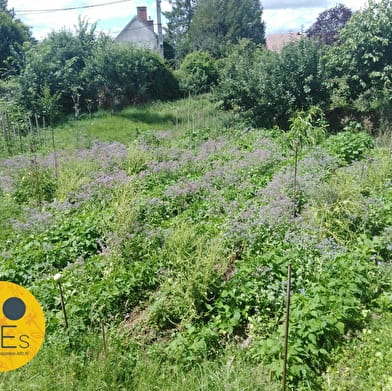 Habitat avec auto production énergie, jardin permaculture et monnaie locale