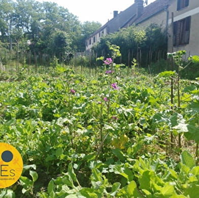 Habitat avec auto production énergie, jardin permaculture et monnaie locale