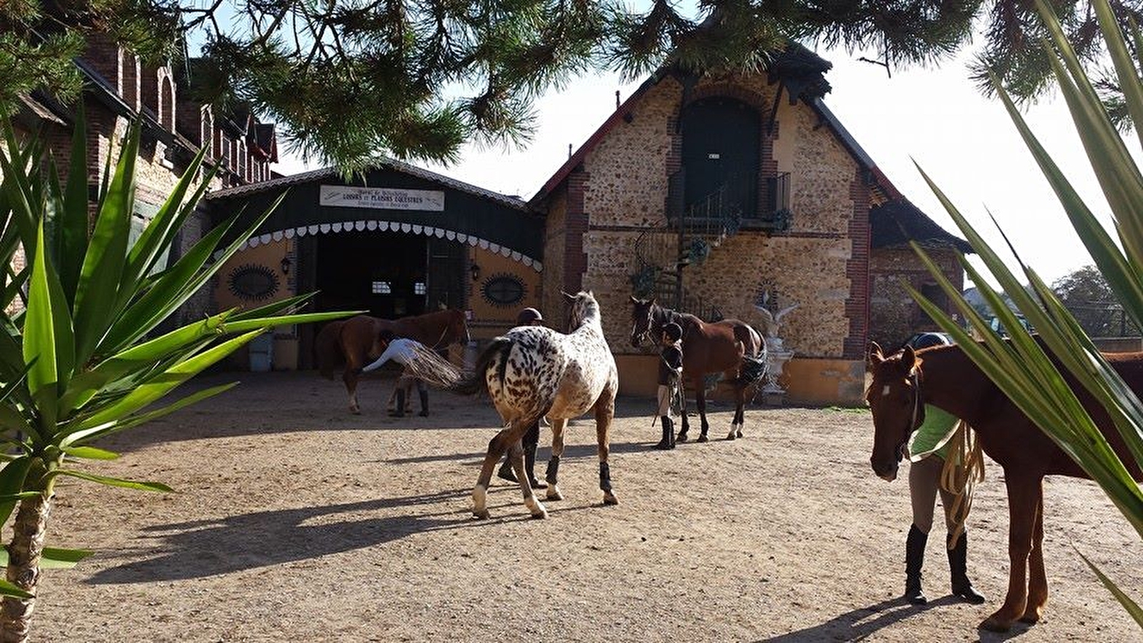 Domaine Équestre - Haras de Villechétive