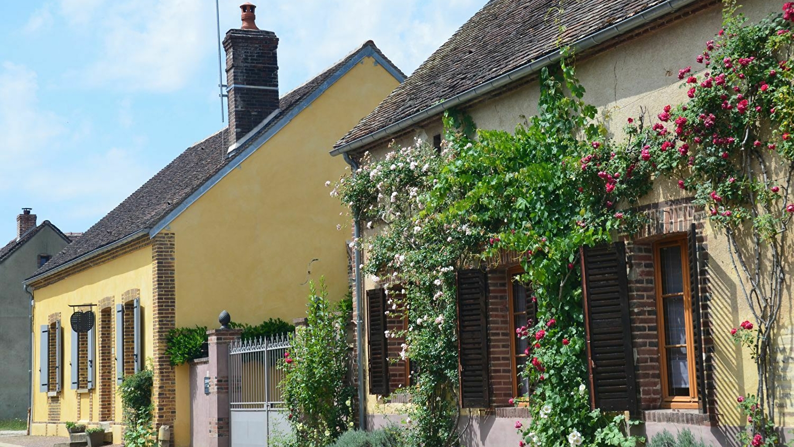 La Pomme Cannée