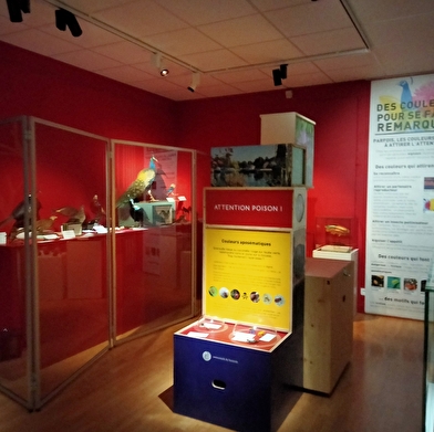 Muséum d'Auxerre