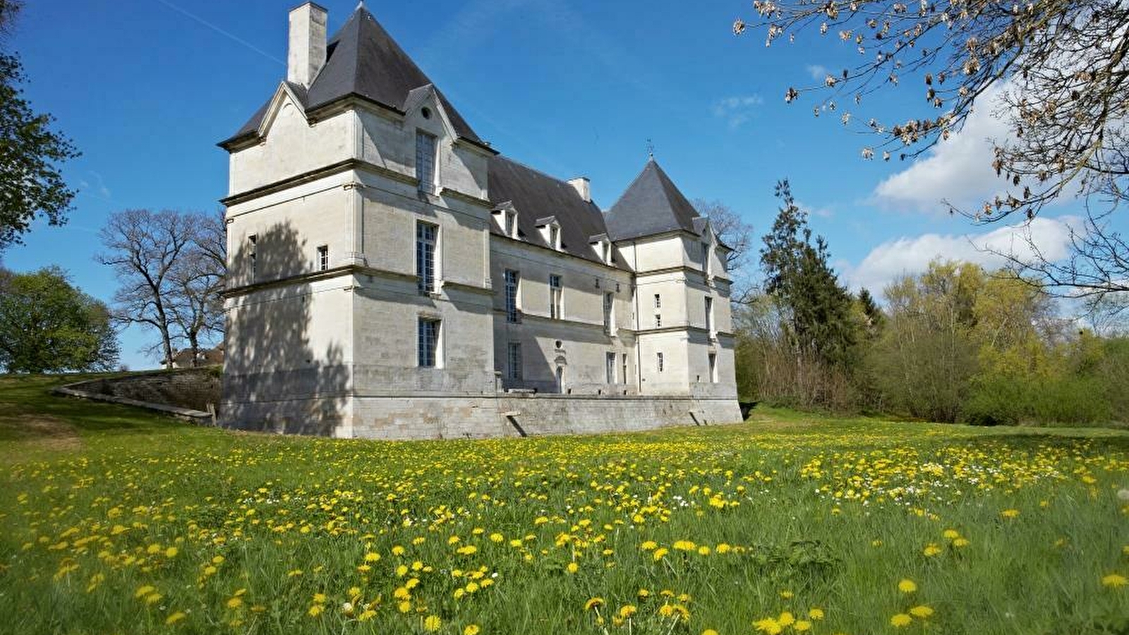 Une promenade originale dans l'Histoire en suivant la vie d'une famille au cours des siècles.