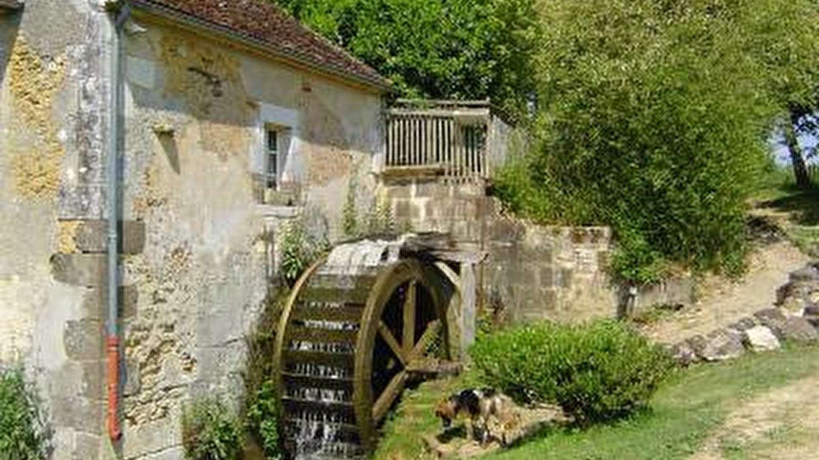 Sentier botanique du Moulin de Vanneau