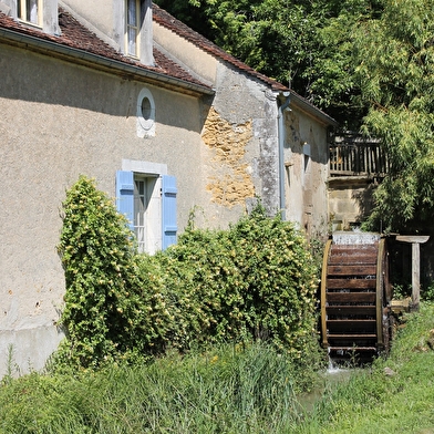 À la découverte du moulin à eau, de la ferme et de ses animaux en liberté.