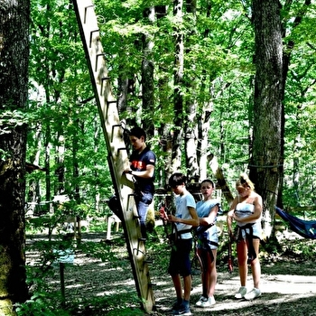 Viens vivre une aventure authentique au cœur d’une forêt de chênes centenaires. - AVALLON