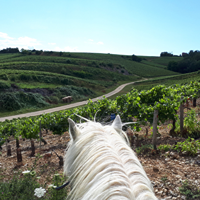 A Cheval dans l'Yonne