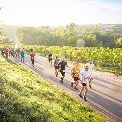 Marathon de Chablis 2023