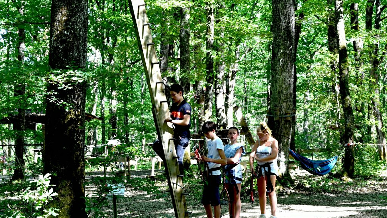 Viens vivre une aventure authentique au cœur d’une forêt de chênes centenaires.