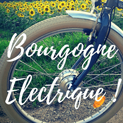 Escapade Gourmande - Canal de Bourgogne à vélo électrique