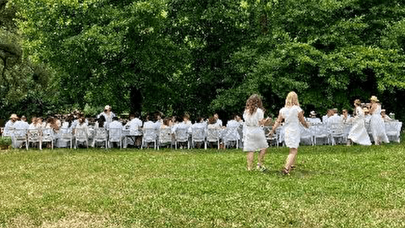 Diner blanc