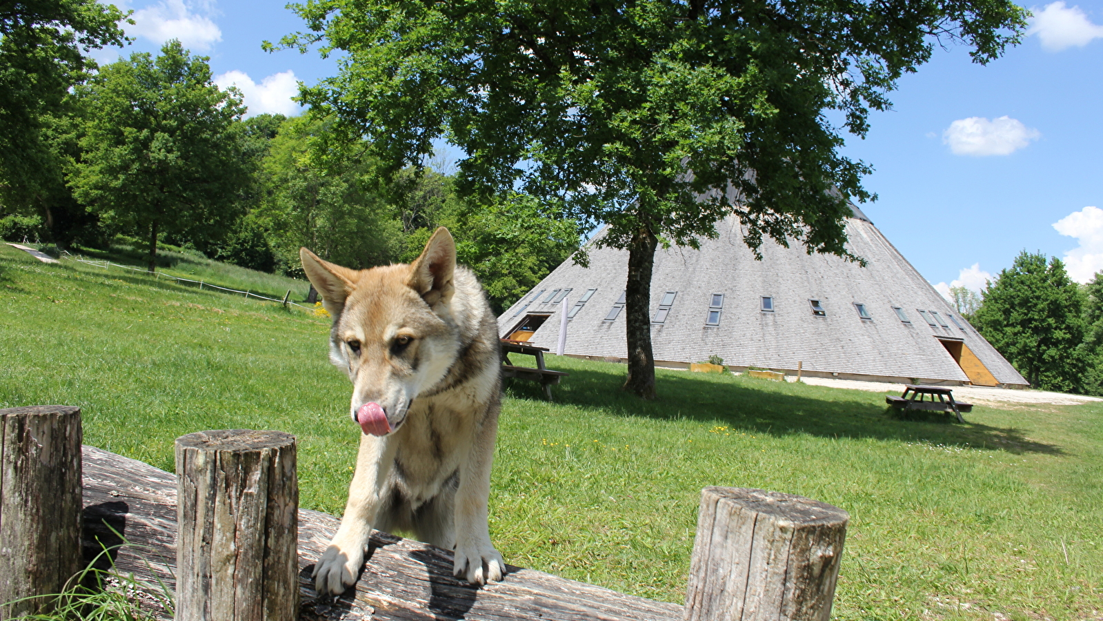 Animations Nature à la Pyramide du Loup cet été !