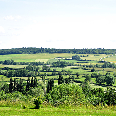 Office de Tourisme du Grand Vézelay - BIT de Montréal