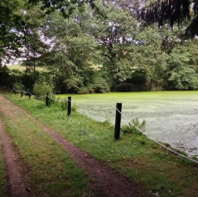 Parc du Château de Chastellux