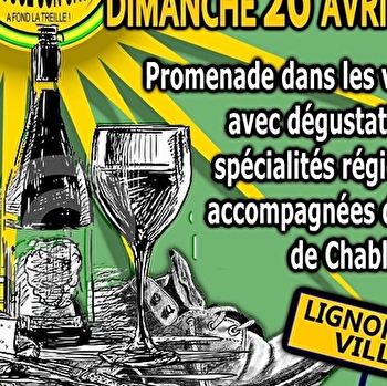 13ème Balade gourmande du Chablisien - LIGNORELLES