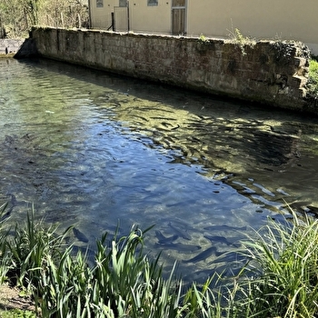 Ferme Aquacole de Crisenon - PREGILBERT