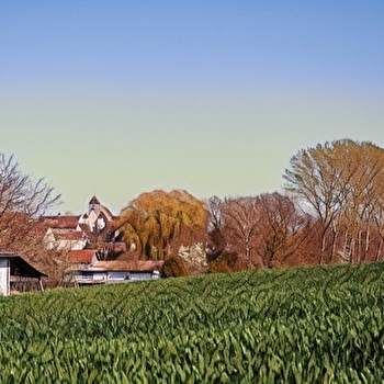 Visite commentée - Mémoires Anciennes - MIGENNES
