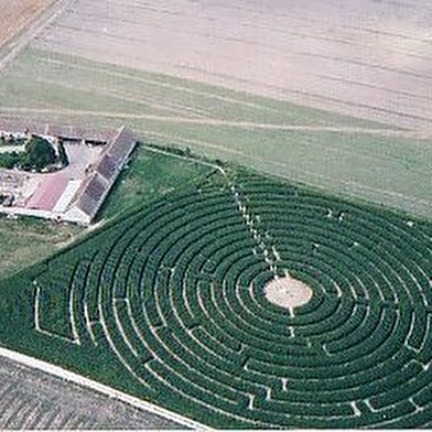 Viens te perdre dans le grand labyrinthe en maïs ! Sauras-tu retrouver ton chemin ?