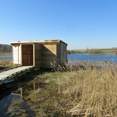 Marais de la vallée de la Druyes