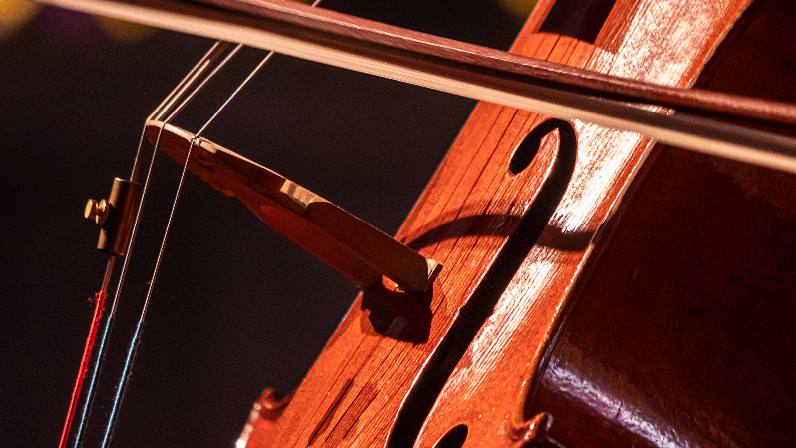 Rencontres Musicales de Noyers : concert 'fil rouge'