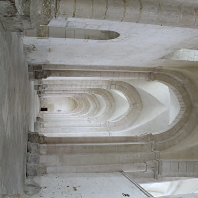 Visites guidées