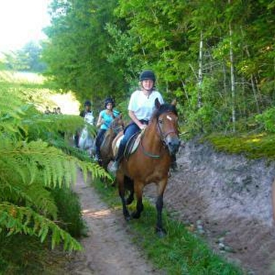 Le Tour équestre du Morvan