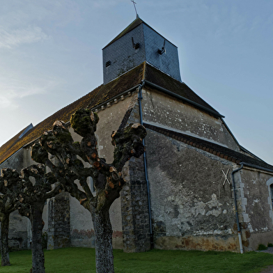 Visites nocturnes dans le Jovinien