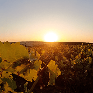 Héliade, séjour d'exception en Bourgogne
