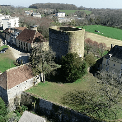 Tour Sarrasine