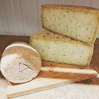 Les brebis de Pauline