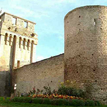 Le temps d'une visite, remonte le temps et imagine-toi à l'époque des chevaliers ! - DRUYES-LES-BELLES-FONTAINES