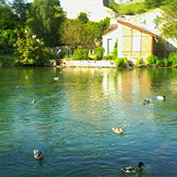 Point d'Informations Touristiques - DRUYES-LES-BELLES-FONTAINES