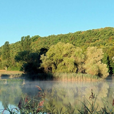 Le sentier du Marais d'Andryes 
